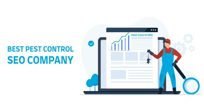 Finding the Right SEO Company to Boost Your Pest Control Business